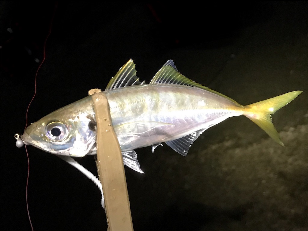 f:id:esojima3:20190721072925j:image f:id:esojima3:20190721072925j:image