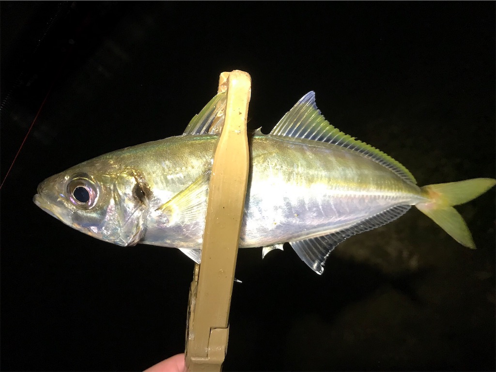 f:id:esojima3:20190721072929j:image f:id:esojima3:20190721072929j:image