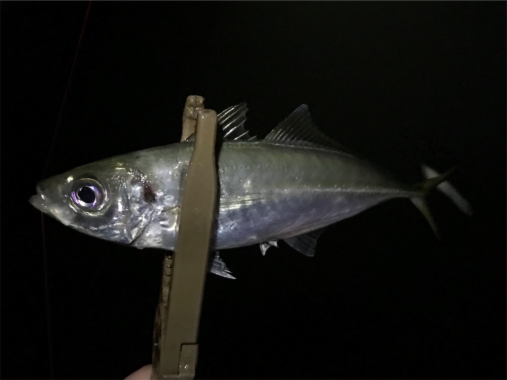 f:id:esojima3:20190721073013j:image f:id:esojima3:20190721073013j:image