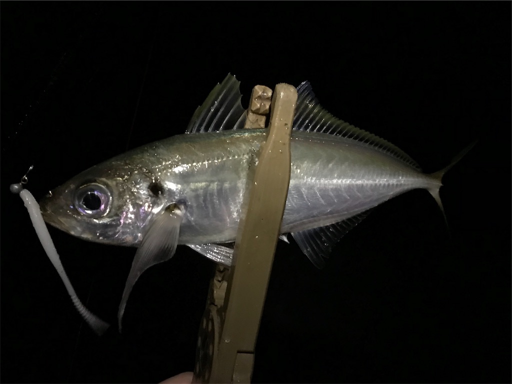 f:id:esojima3:20190721073016j:image f:id:esojima3:20190721073016j:image