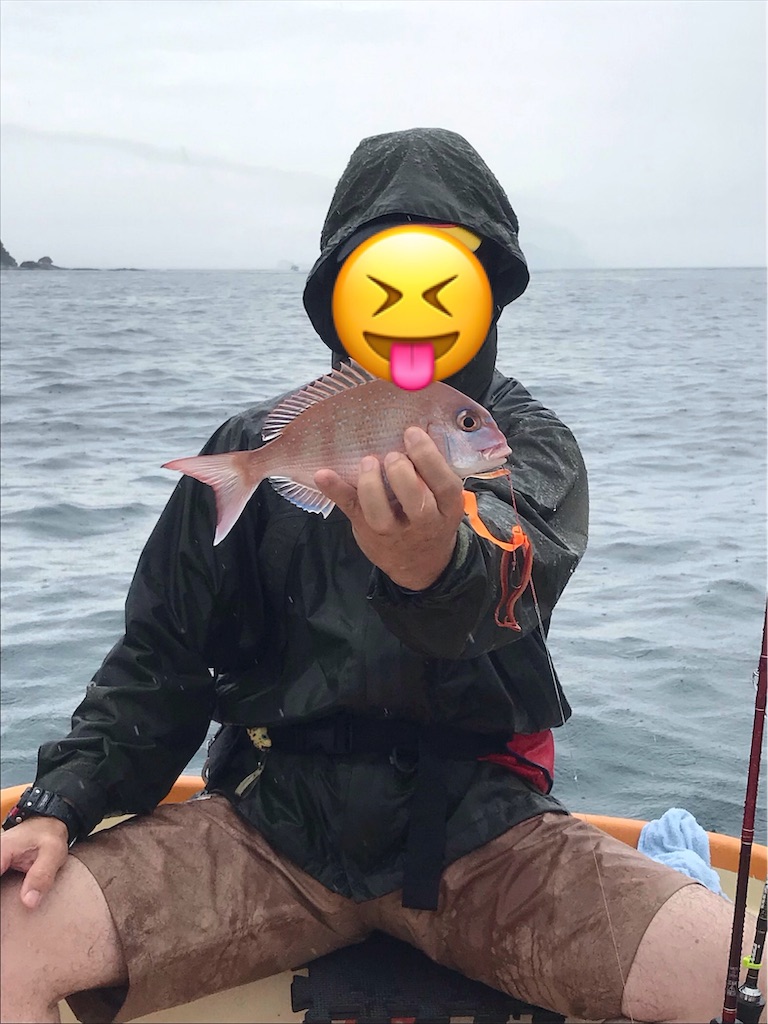 f:id:esojima3:20190723084814j:image