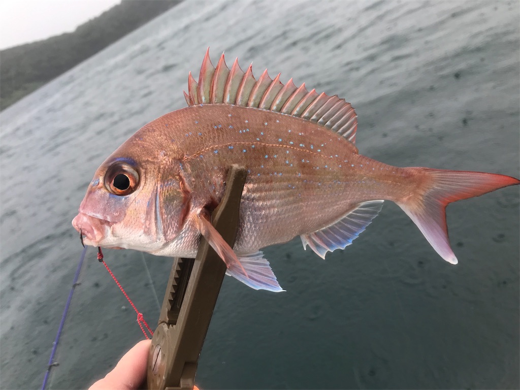 f:id:esojima3:20190723085957j:image
