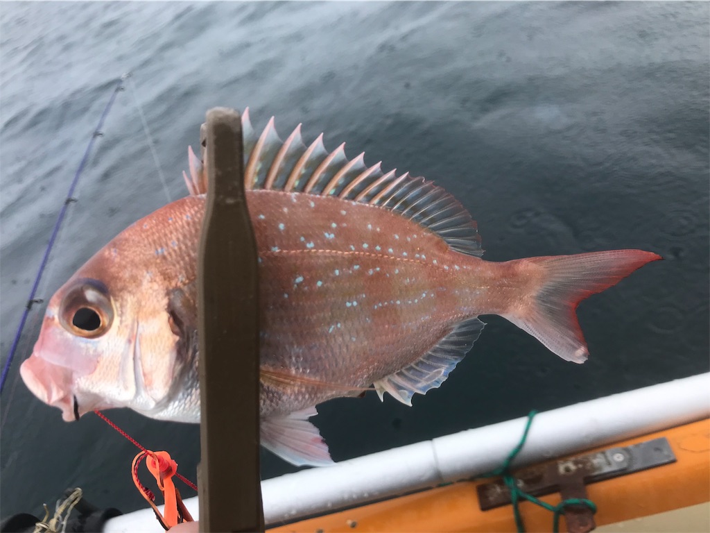 f:id:esojima3:20190723090003j:image