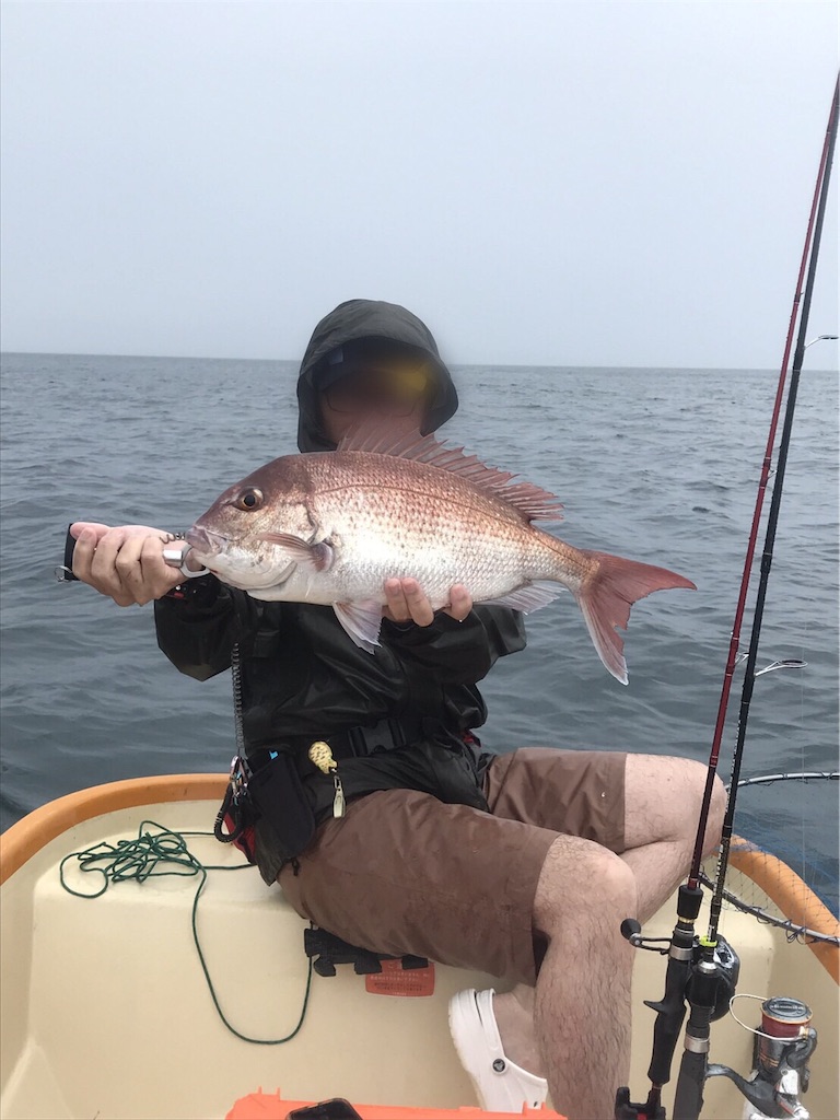 f:id:esojima3:20190723090445j:image