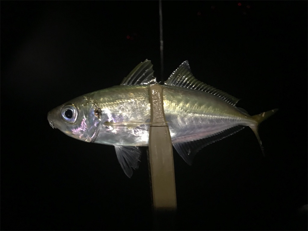 f:id:esojima3:20190723092059j:image