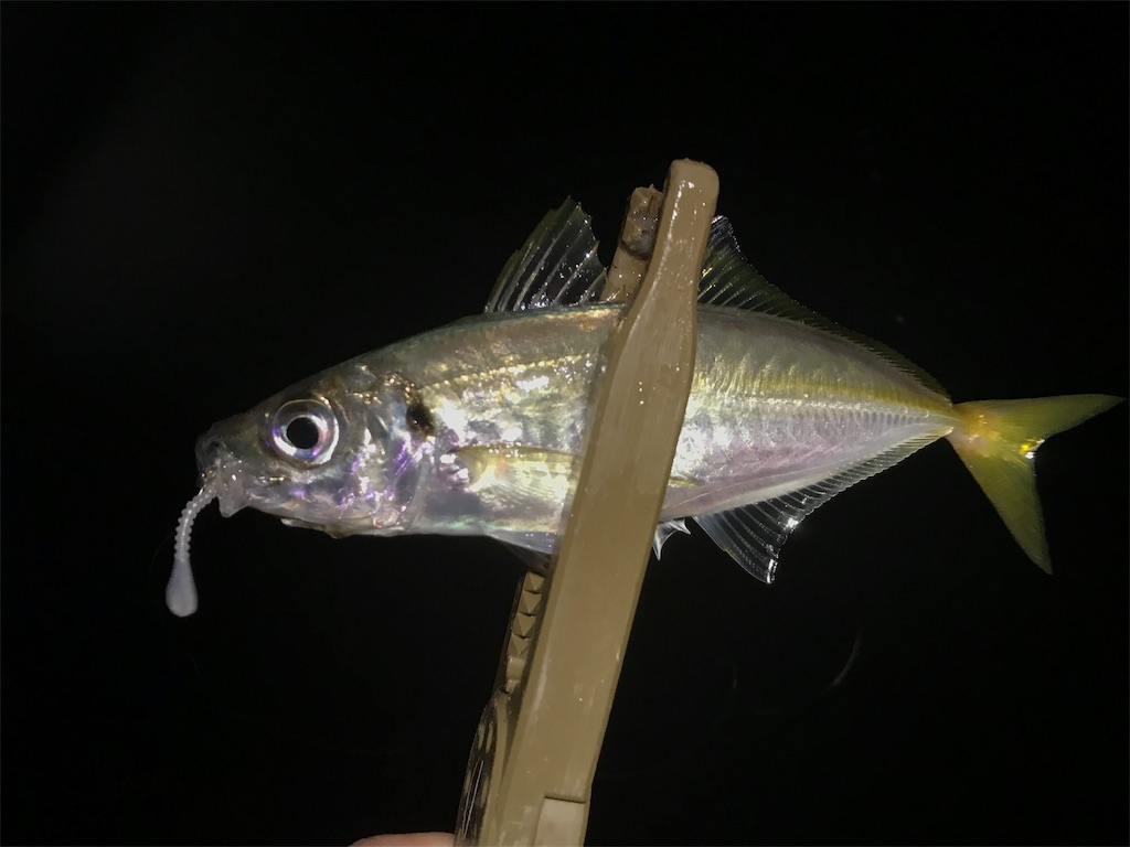 f:id:esojima3:20190723092103j:image