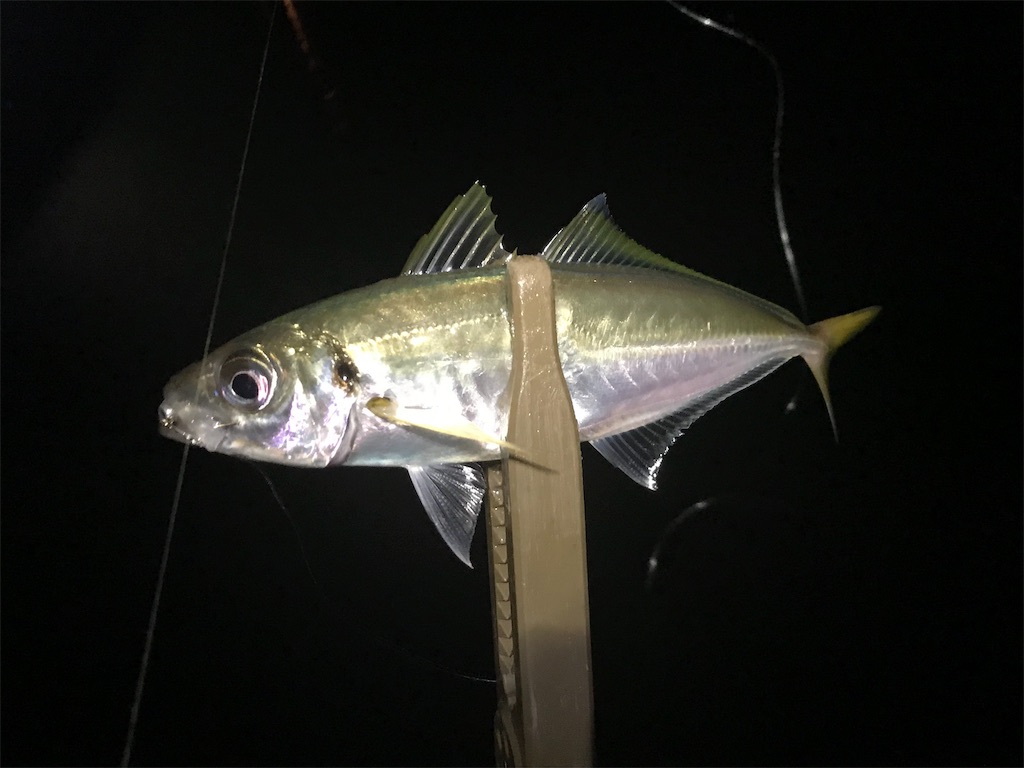 f:id:esojima3:20190723092106j:image