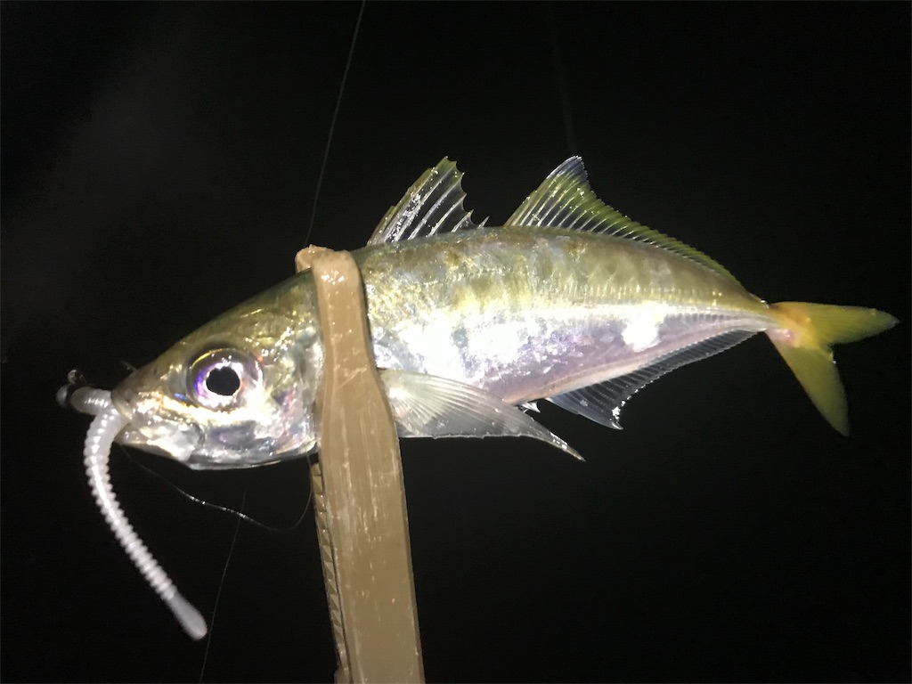 f:id:esojima3:20190723092109j:image