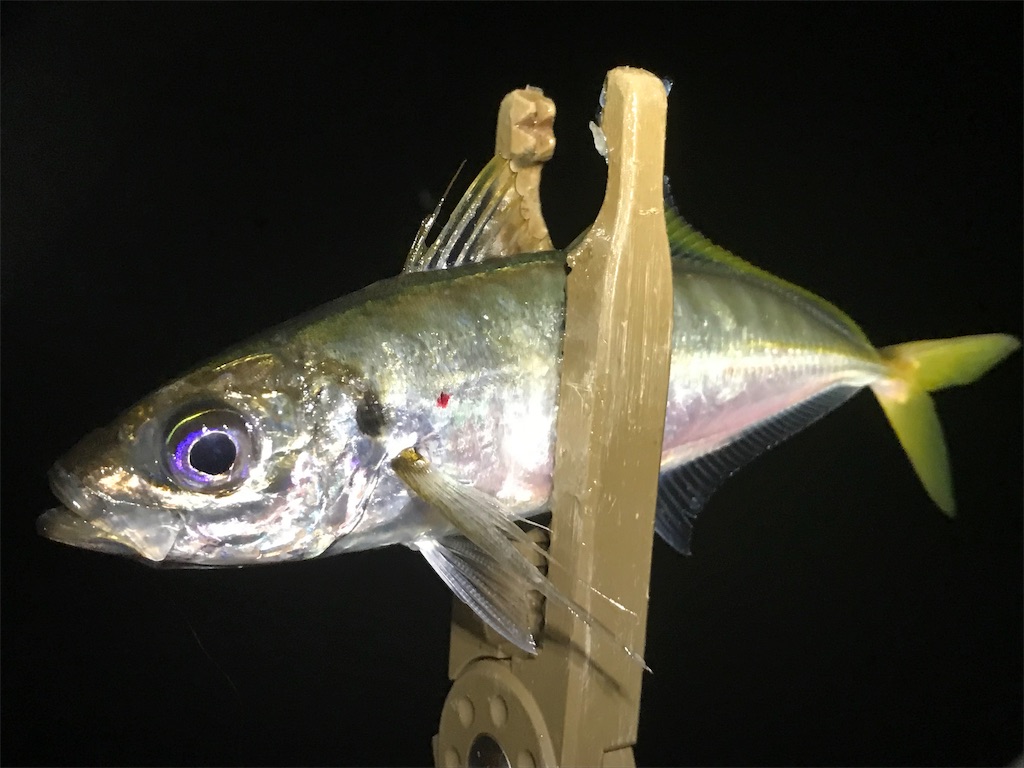 f:id:esojima3:20190723092112j:image