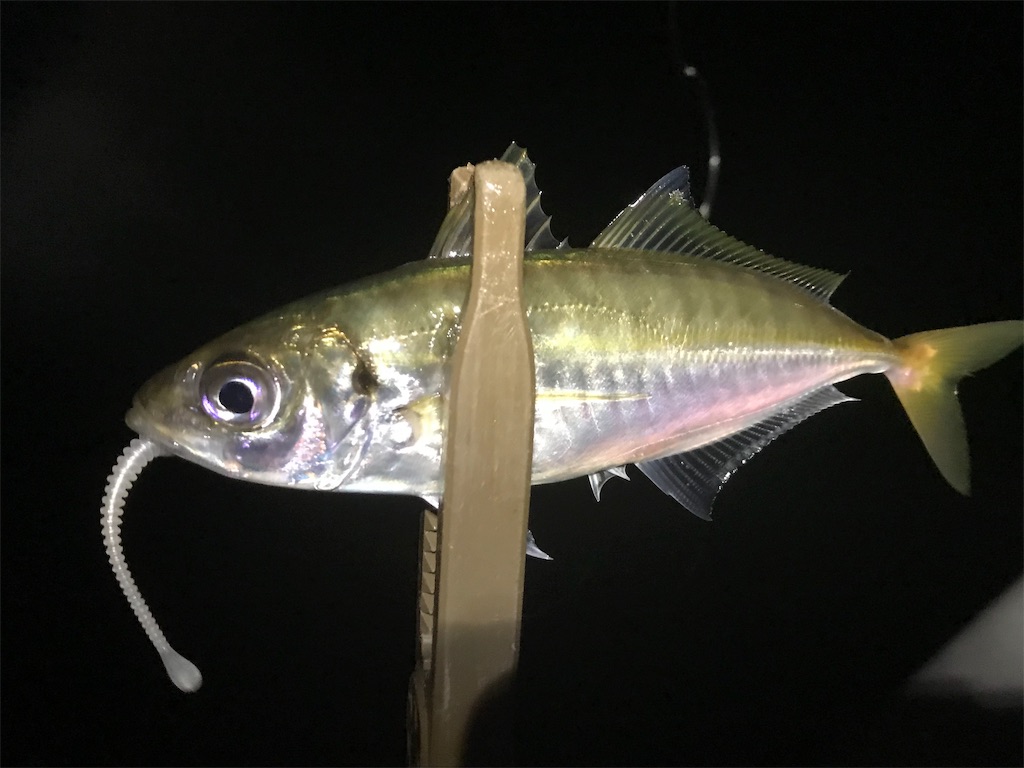 f:id:esojima3:20190723092115j:image