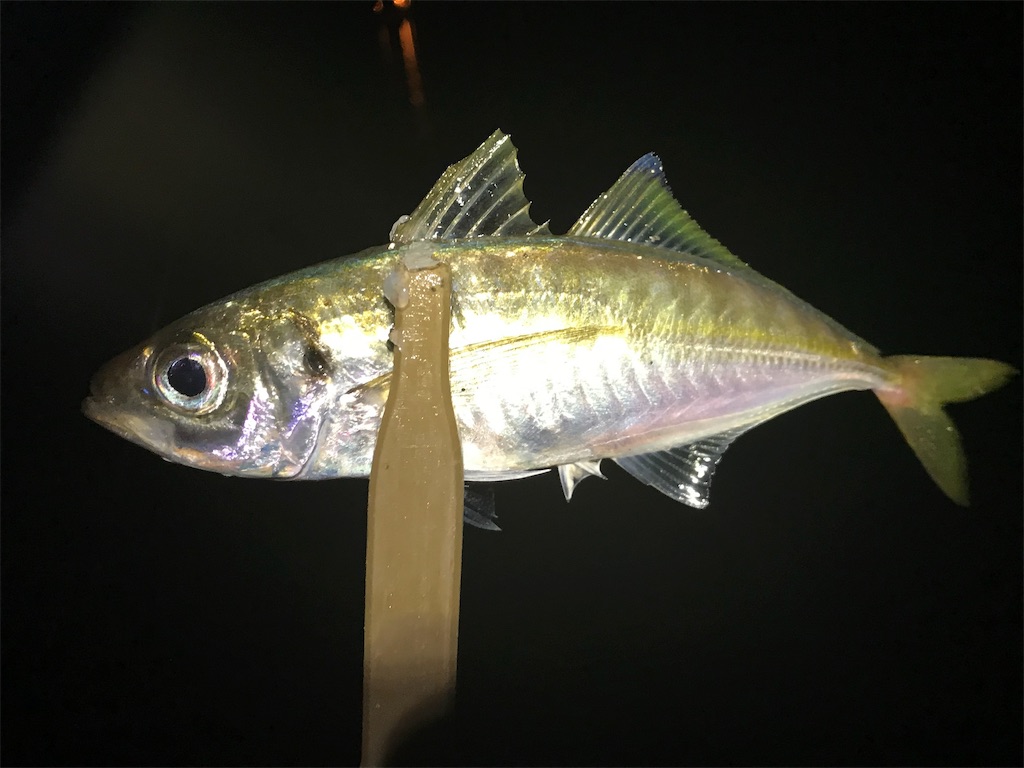 f:id:esojima3:20190723092118j:image