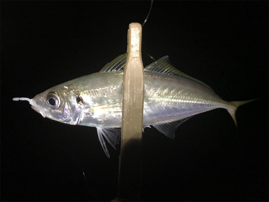 f:id:esojima3:20190723092121j:image
