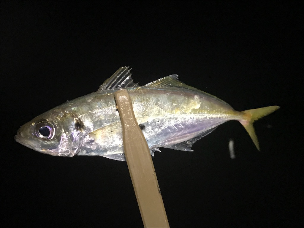 f:id:esojima3:20190723092124j:image