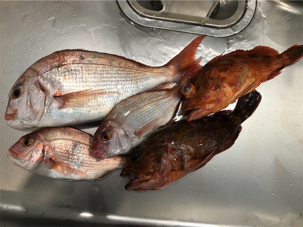 f:id:esojima3:20190723094141j:image