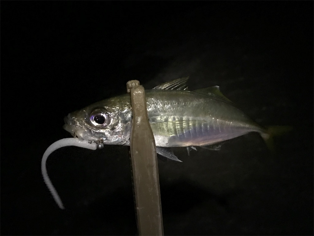 f:id:esojima3:20190725000832j:image