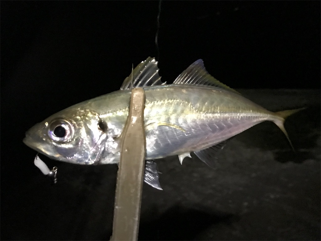 f:id:esojima3:20190725000836j:image