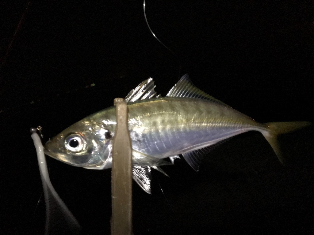 f:id:esojima3:20190725000843j:image