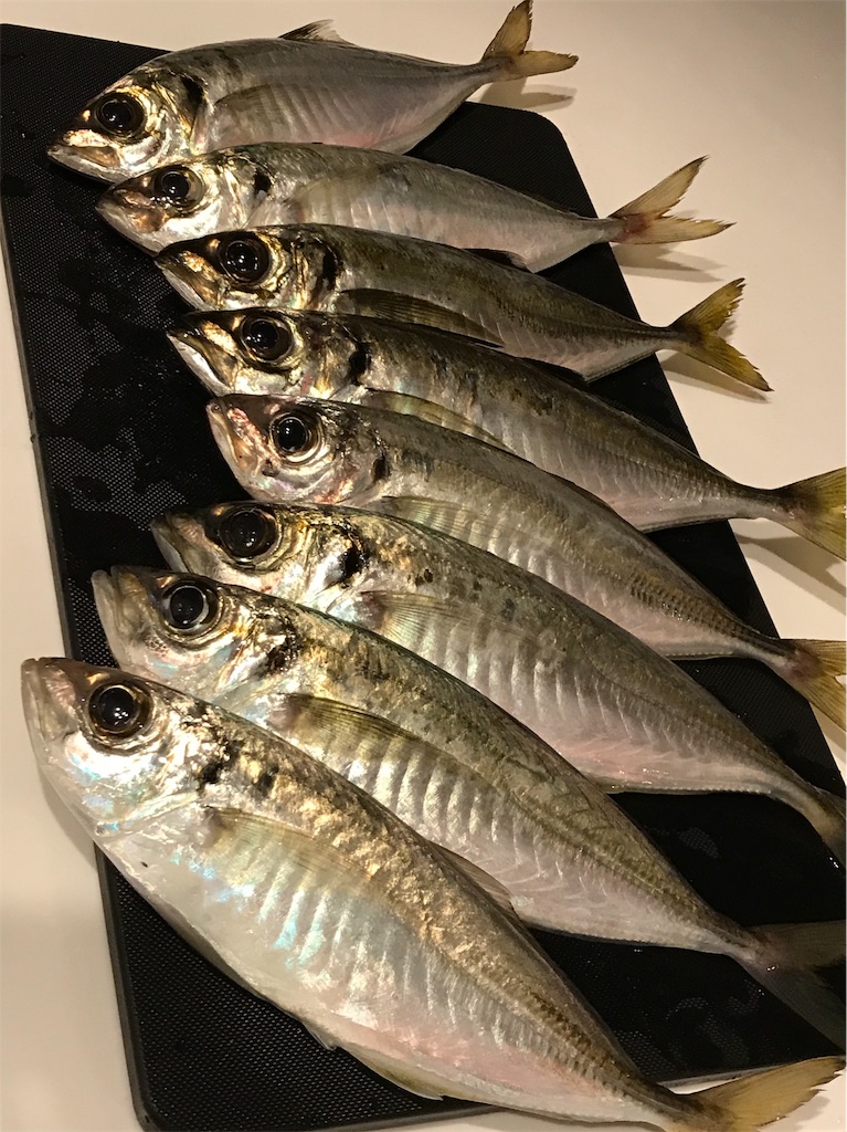 f:id:esojima3:20190725042448j:image