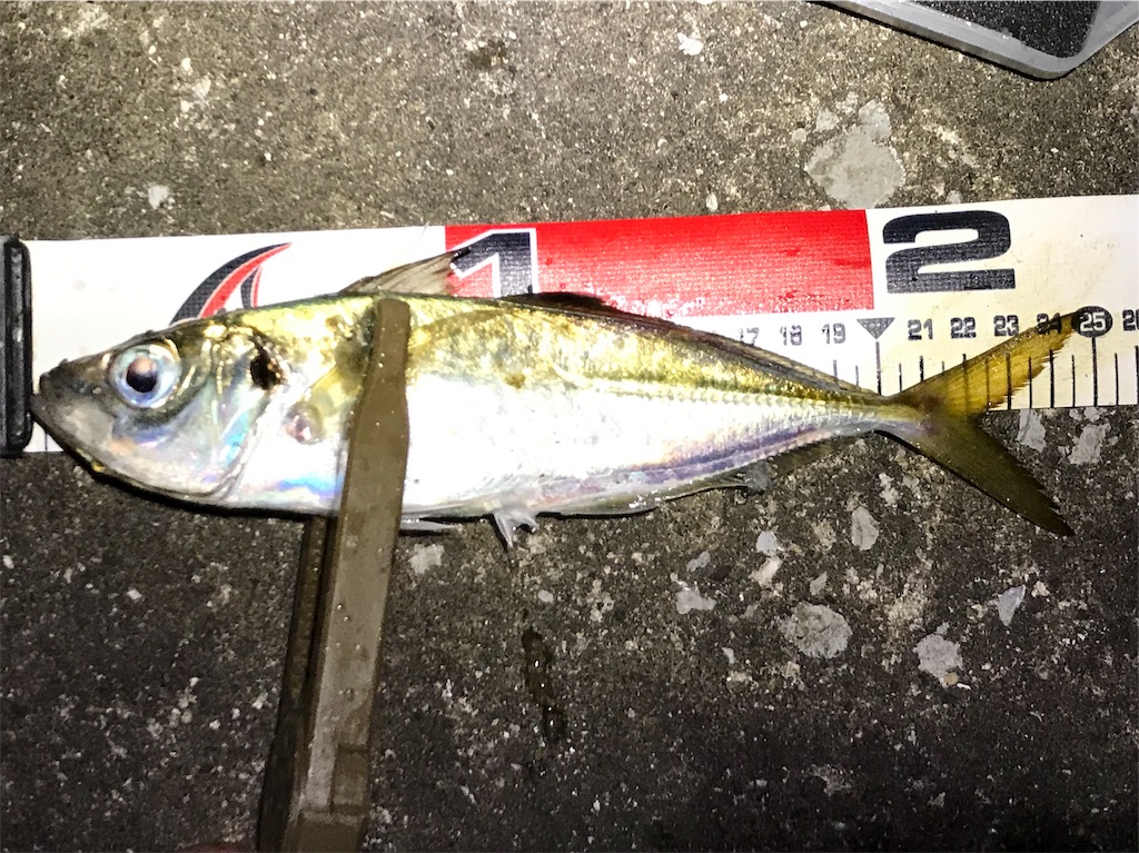 f:id:esojima3:20190725042825j:image