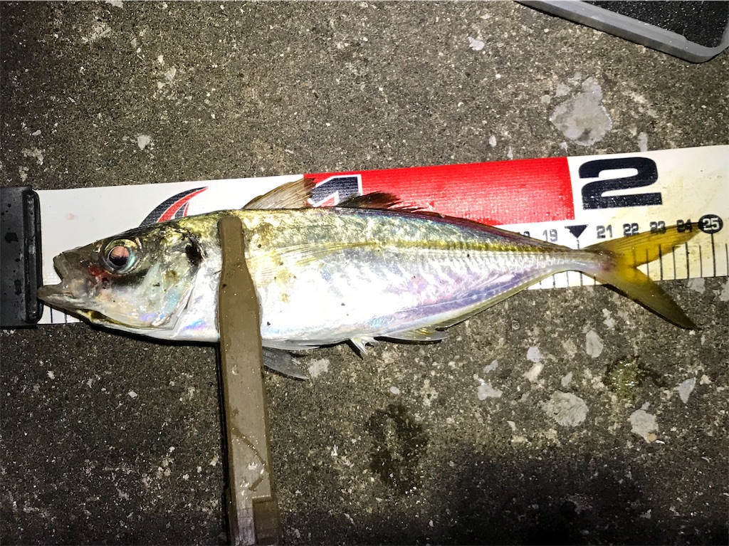 f:id:esojima3:20190725042836j:image