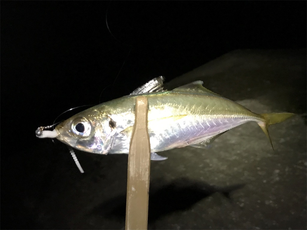 f:id:esojima3:20190725105857j:image