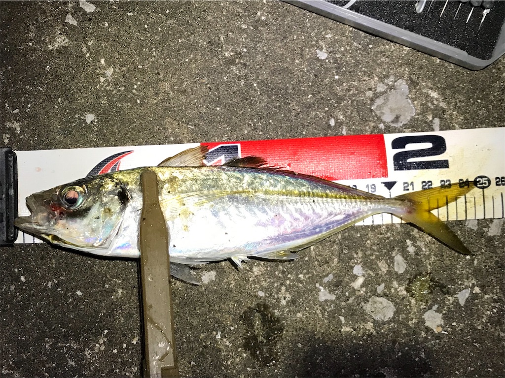 f:id:esojima3:20190725111559j:image