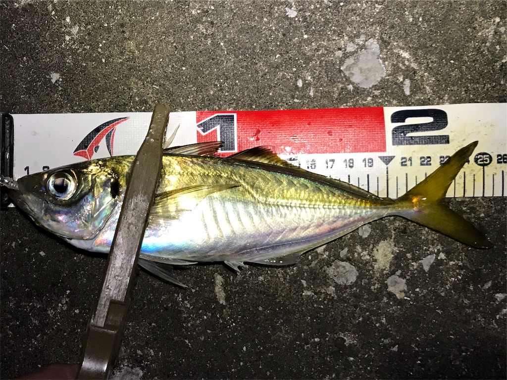 f:id:esojima3:20190725112011j:image