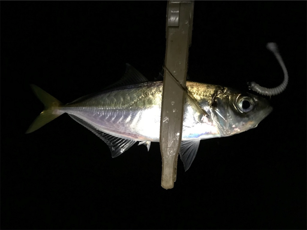 f:id:esojima3:20190726074956j:image f:id:esojima3:20190726074956j:image