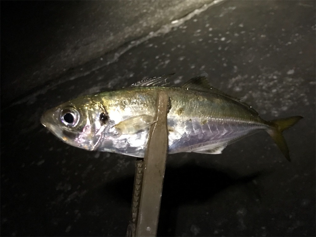 f:id:esojima3:20190726075228j:image f:id:esojima3:20190726075228j:image