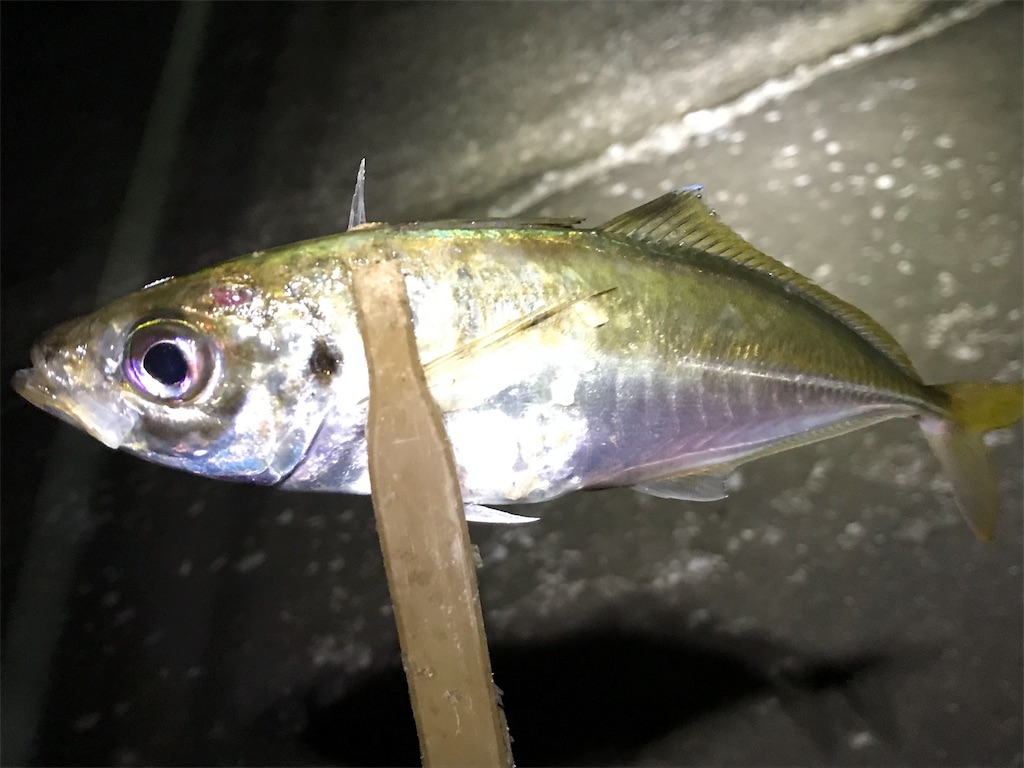f:id:esojima3:20190726075232j:image f:id:esojima3:20190726075232j:image