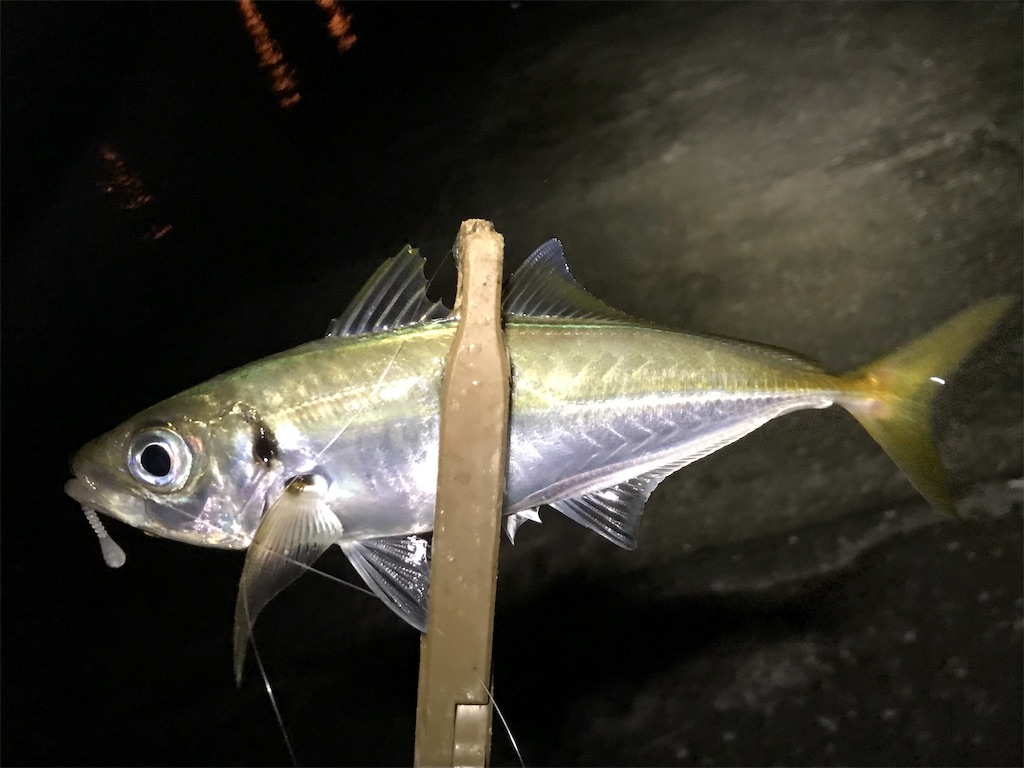 f:id:esojima3:20190726075235j:image f:id:esojima3:20190726075235j:image