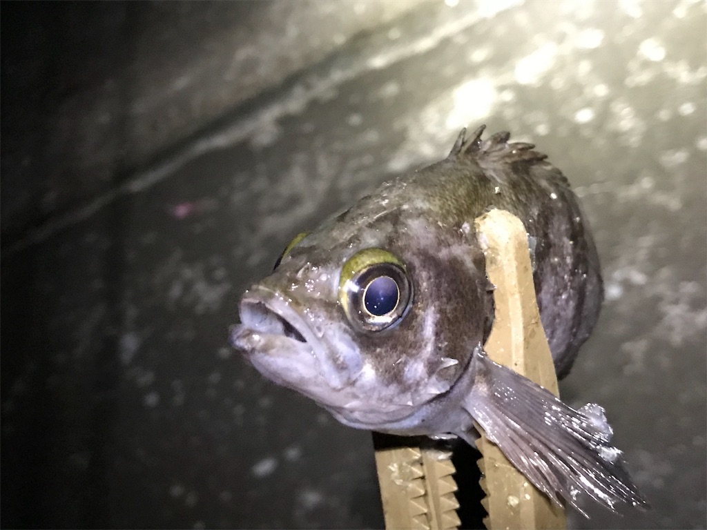 f:id:esojima3:20190726075406j:image f:id:esojima3:20190726075406j:image