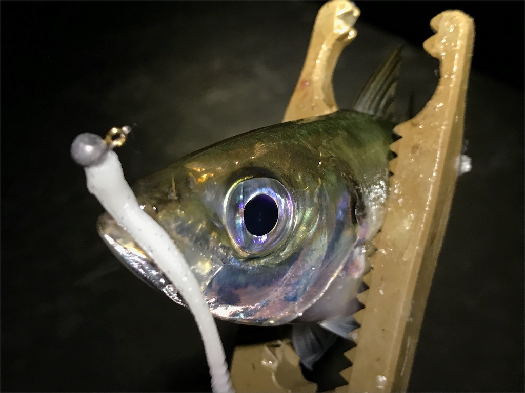 f:id:esojima3:20190726075532j:image f:id:esojima3:20190726075532j:image