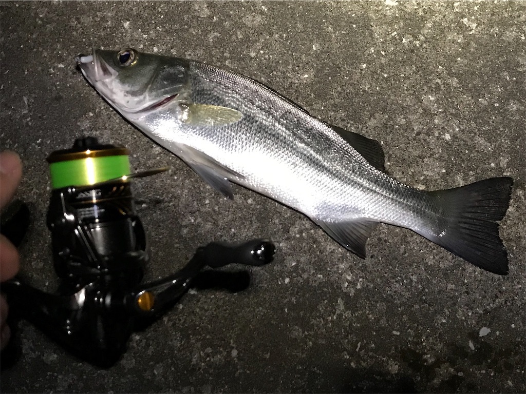 f:id:esojima3:20190726075748j:image f:id:esojima3:20190726075748j:image