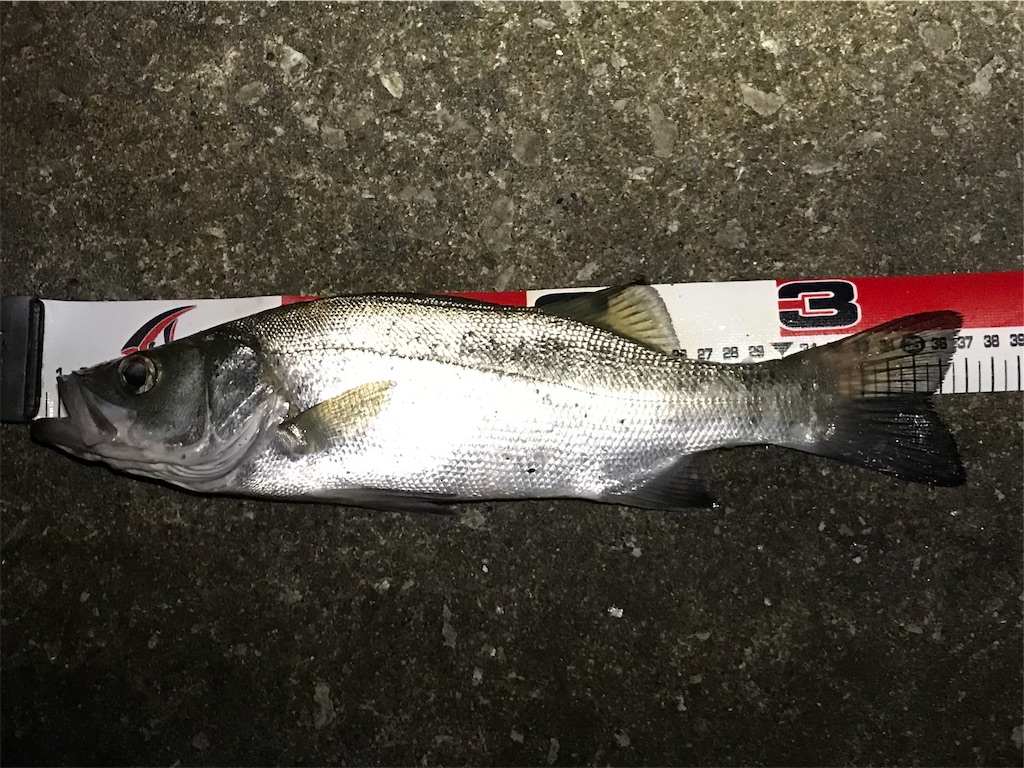 f:id:esojima3:20190726075751j:image f:id:esojima3:20190726075751j:image