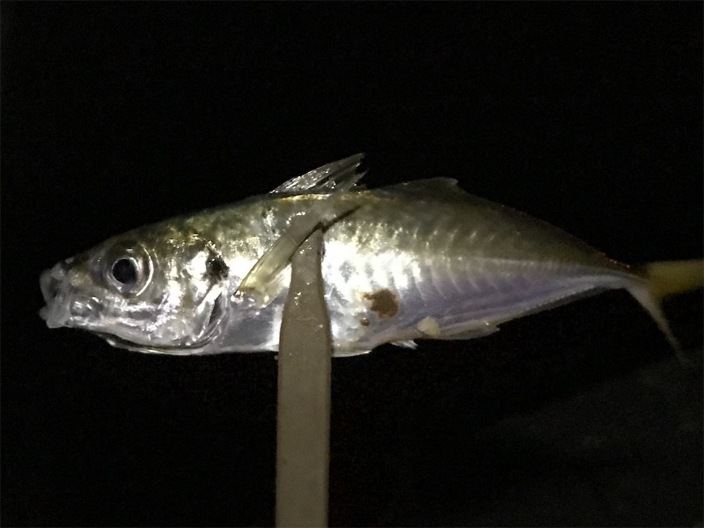 f:id:esojima3:20190726080125j:image f:id:esojima3:20190726080125j:image