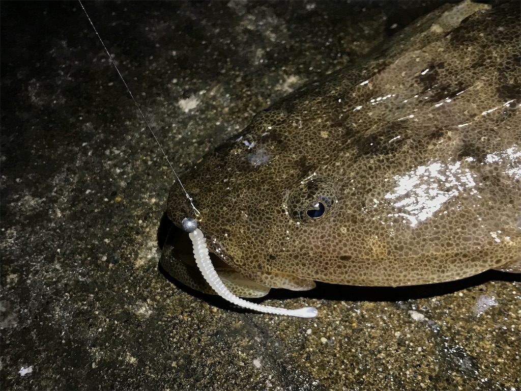 f:id:esojima3:20190726082417j:image