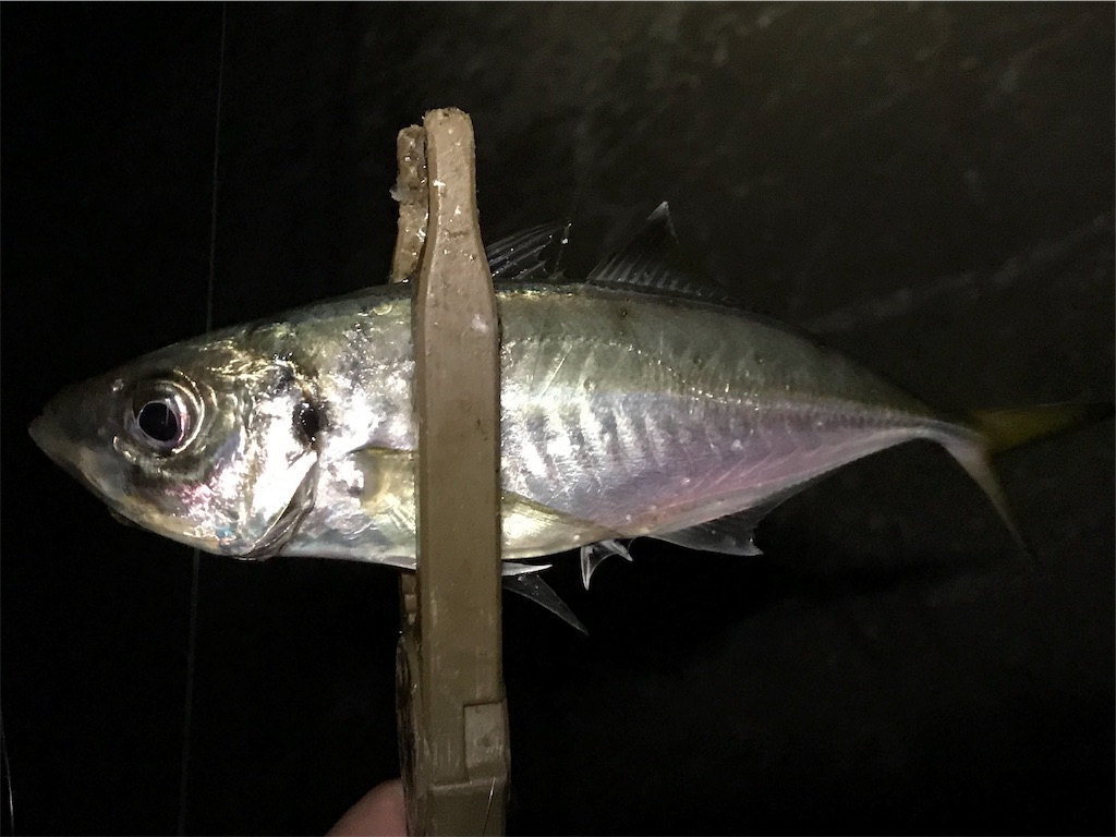 f:id:esojima3:20190726083109j:image