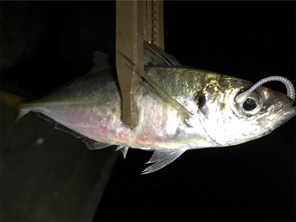 f:id:esojima3:20190726083112j:image