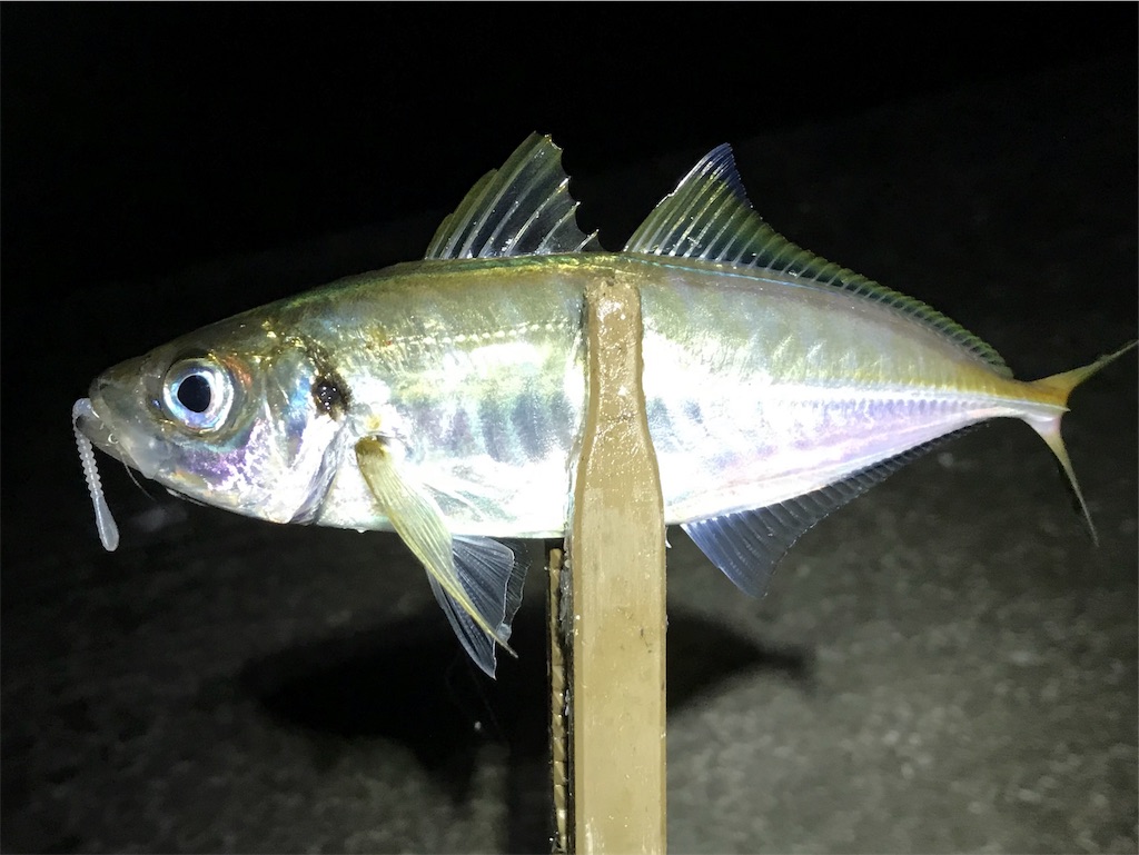 f:id:esojima3:20190726083116j:image