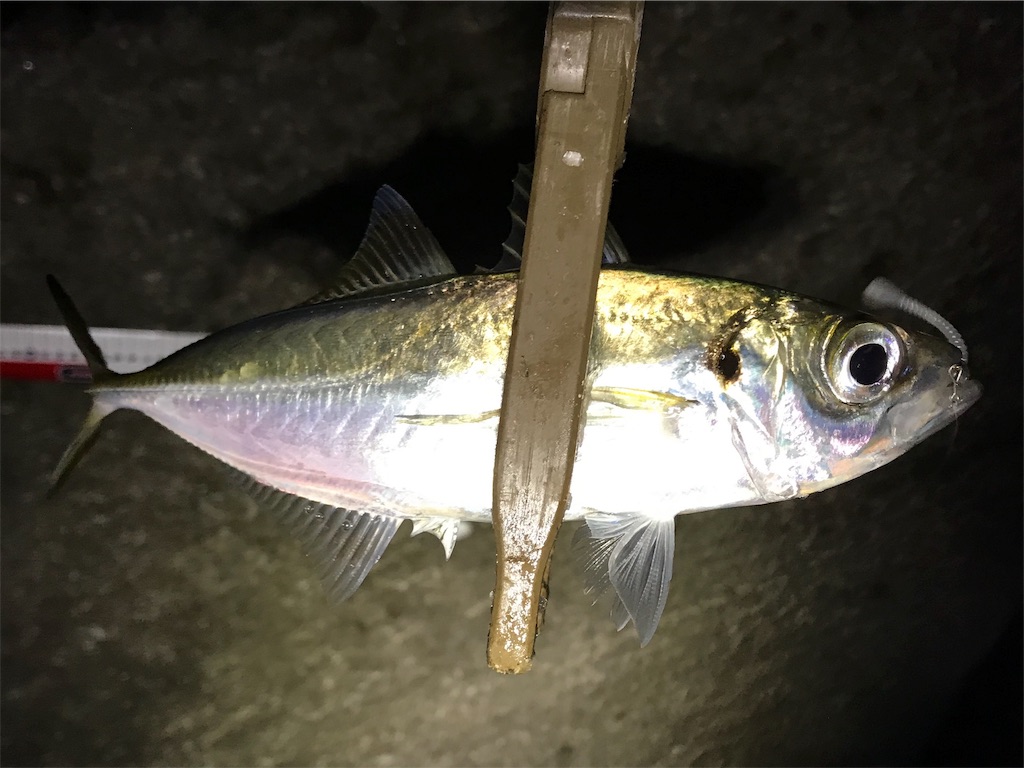 f:id:esojima3:20190726083122j:image