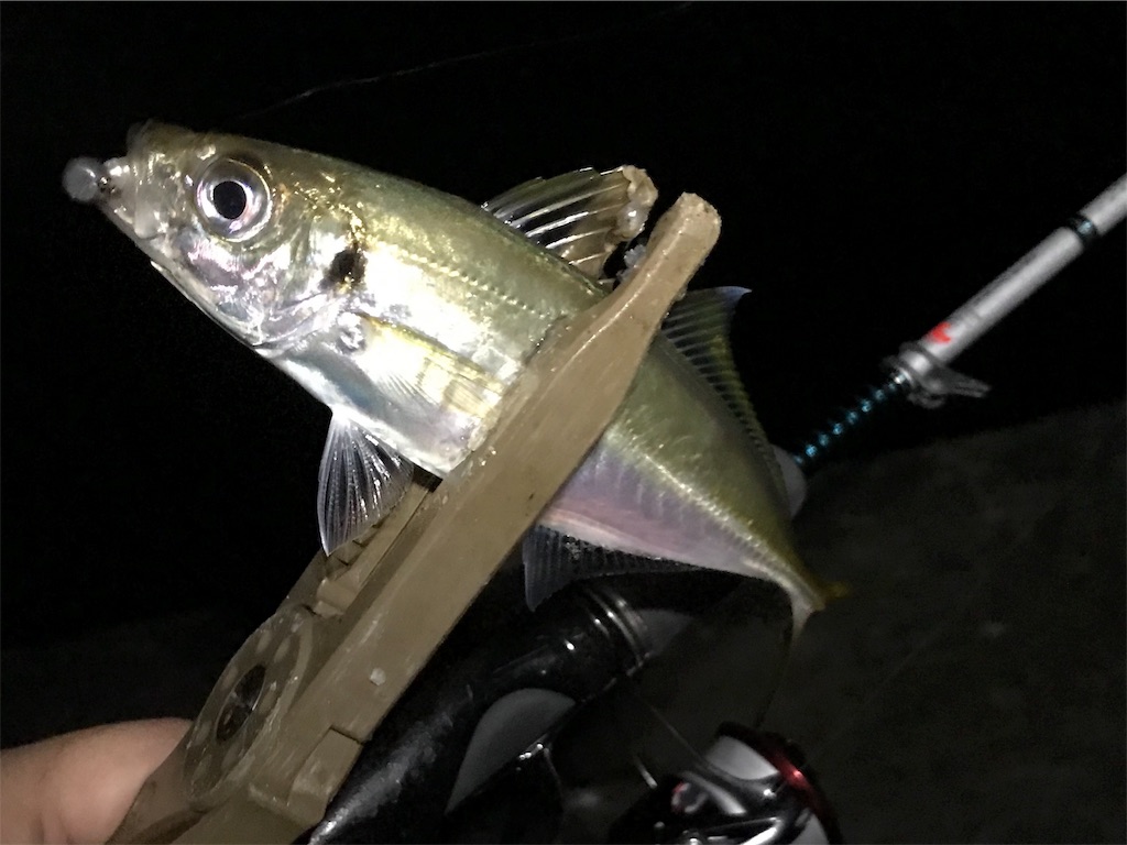 f:id:esojima3:20190726083126j:image