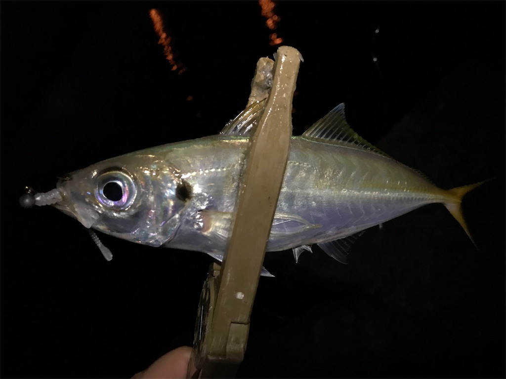 f:id:esojima3:20190726083129j:image