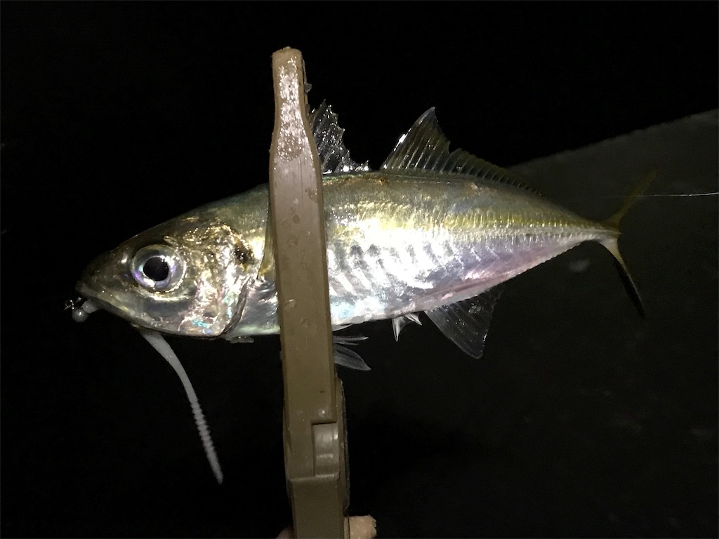 f:id:esojima3:20190726083945j:image f:id:esojima3:20190726083945j:image