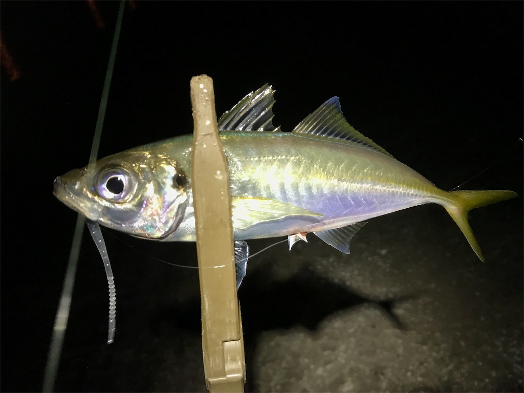 f:id:esojima3:20190727141110j:image f:id:esojima3:20190727141110j:image
