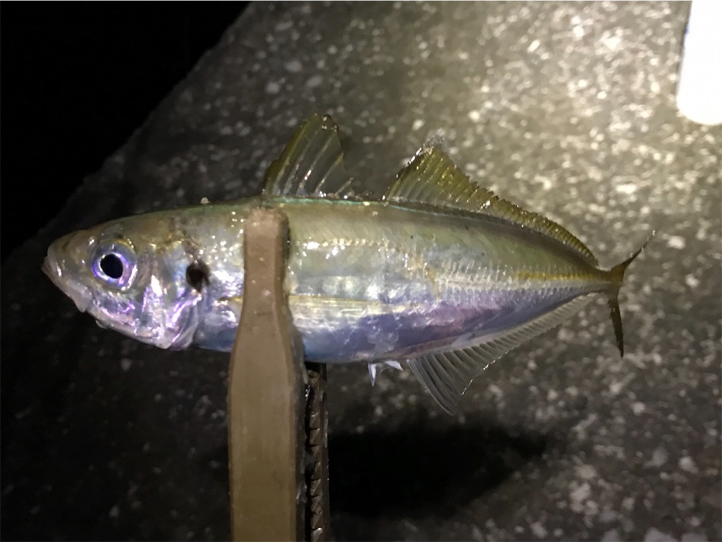 f:id:esojima3:20190728112257j:image