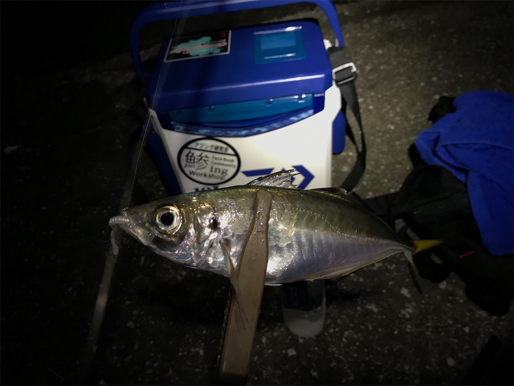 f:id:esojima3:20190728112324j:image