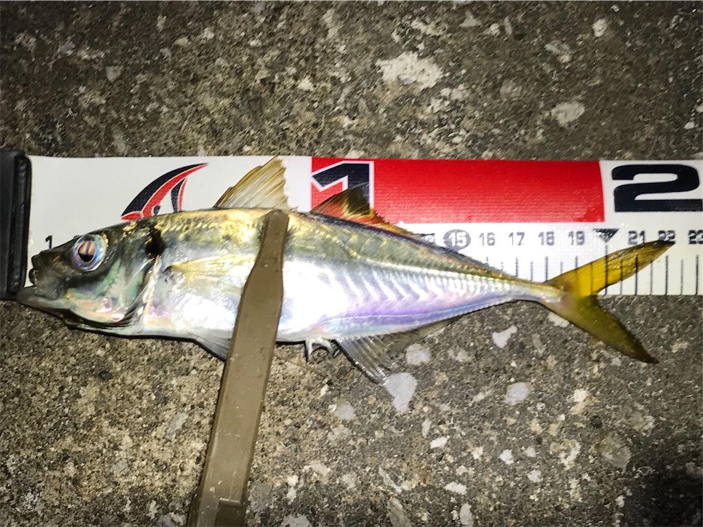 f:id:esojima3:20190728113251j:image