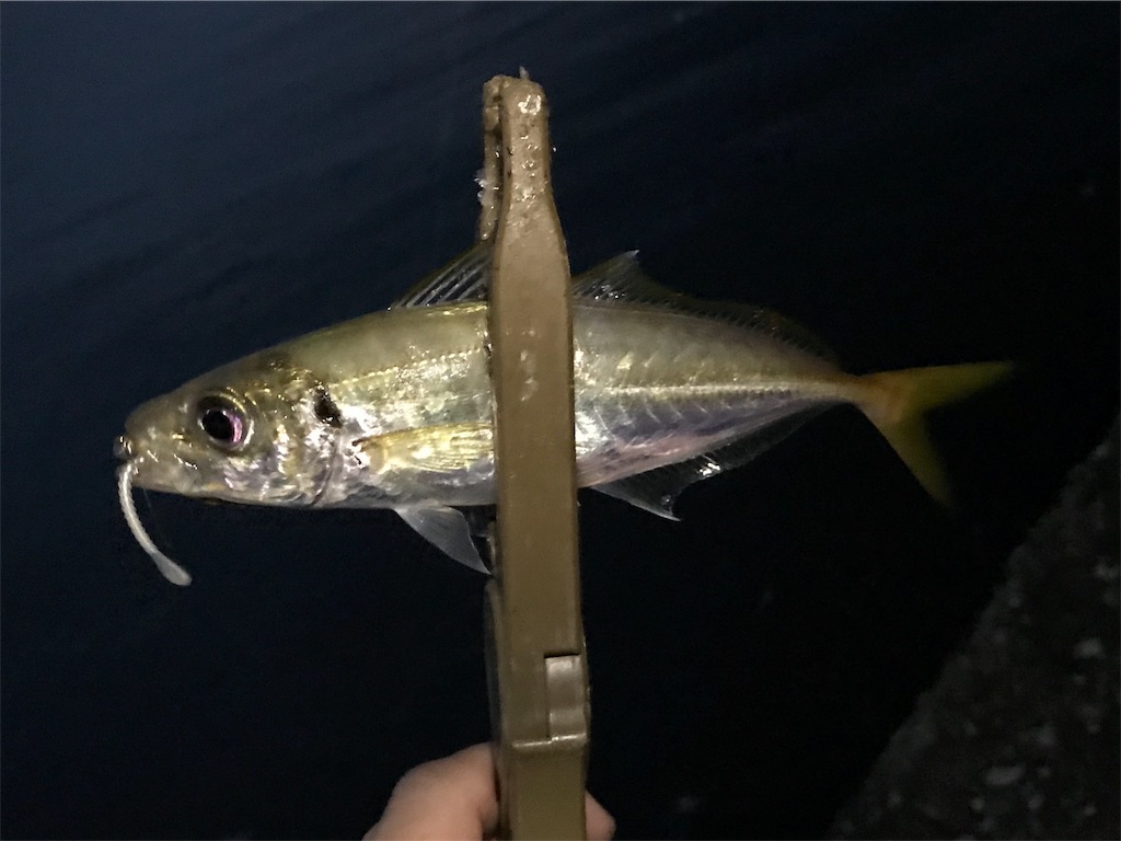 f:id:esojima3:20190728113255j:image