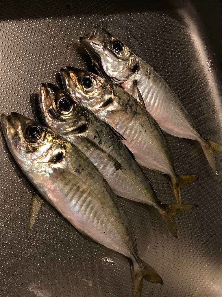 f:id:esojima3:20190728114309j:image